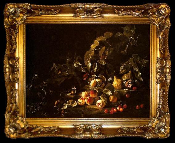 framed  Abraham Brueghel Still life with fruit, ta009-2